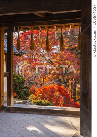 Autumn Kyoto - Bishamondo - Autumn leaves seen from the Yakui-mon gate Autumn Kyoto - Bishamondo - Autumn leaves seen from the Yakui-mon gate 109674557