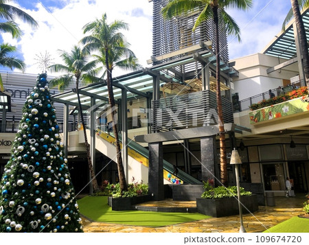 “夏威夷”阿拉莫納購物中心-聖誕樹 109674720