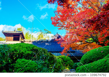 京都一乘寺的四仙堂定山寺 京都一乘寺的四仙堂定山寺 109674792