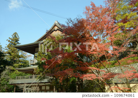 京都市東山區泉遊寺熊野觀音寺院內的秋天現在 109674861