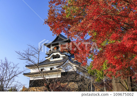 National Treasure Inuyama Castle in late autumn 109675002