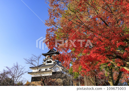 National Treasure Inuyama Castle in late autumn 109675003