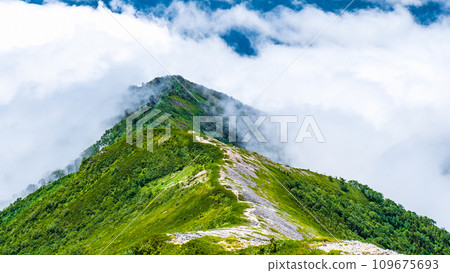 Summer mountain climbing Mt. Jijigatake (sea of clouds) 109675693