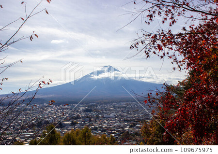 新倉山淺間公園和富士山的秋葉 109675975