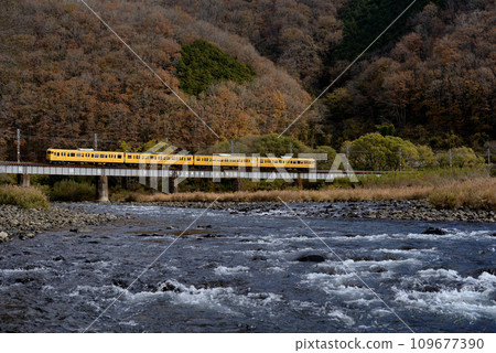 Four 113 series local trains running on the Hakubi Line Four 113 series local trains running on the Hakubi Line 109677390