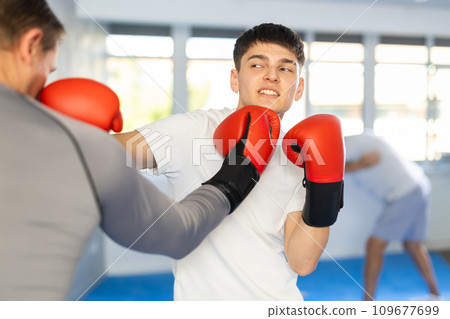 Man and guy in boxing gloves punch deliver blow each other during training sparring session. 109677699