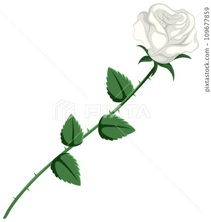 Simple Style Cartoon Illustration of a White Rose Simple Style Cartoon Illustration of a White Rose 109677859