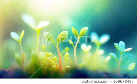 Sprouting plants 109678495
