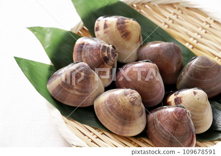 Clams on bamboo colander 109678591