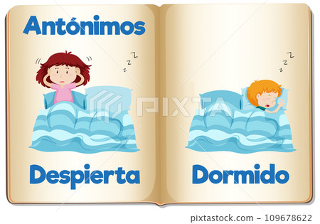 Spanish Language Education: Awake and Asleep Cartoon Illustration 109678622