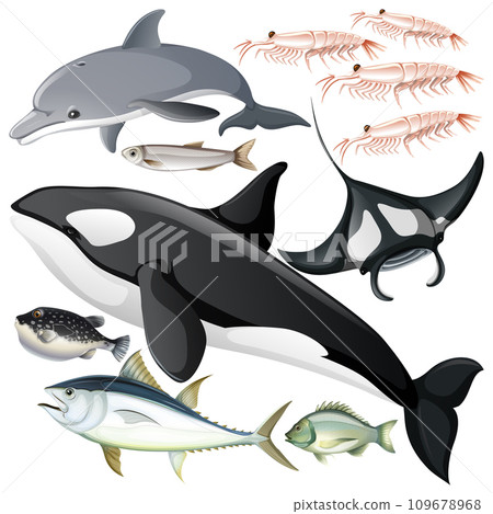 Underwater Creature Vector Set 109678968