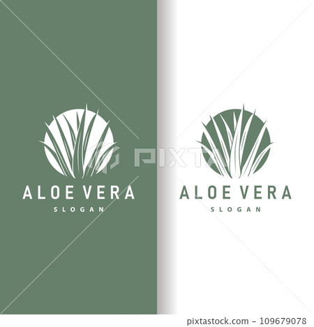 Aloe Vera Logo Design Simple Illustration Health Herbal Plant Grass Aloe Vera Logo Design Simple Illustration Health Herbal Plant Grass 109679078