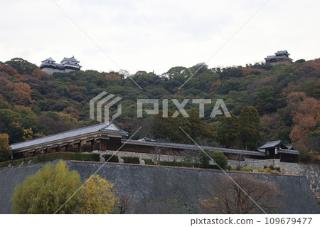 愛媛郡松山市松山城風景 109679477