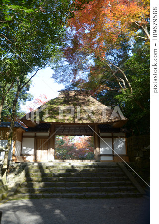 京都市左京區鹿谷秋季法然院三門 109679588