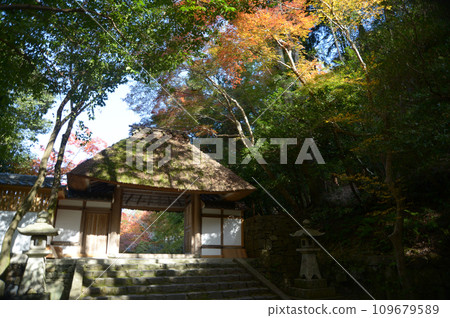 Autumn Honen-in Sanmon Gate, Shikagaya, Sakyo Ward, Kyoto City Autumn Honen-in Sanmon Gate, Shikagaya, Sakyo Ward, Kyoto City 109679589