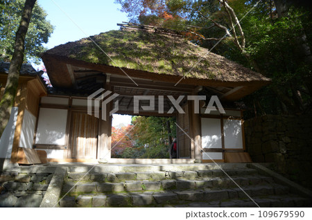 Autumn Honen-in Sanmon Gate, Shikagaya, Sakyo Ward, Kyoto City 109679590