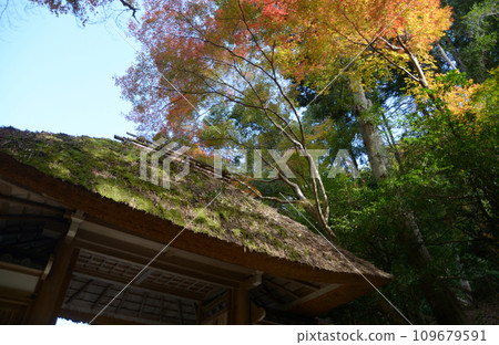 京都市左京區鹿谷秋季法然院三門 京都市左京區鹿谷秋季法然院三門 109679591