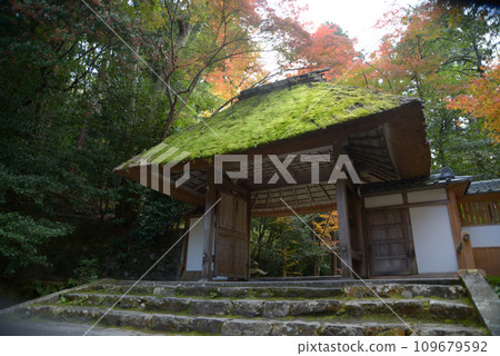 京都市左京區鹿谷秋季法然院三門 京都市左京區鹿谷秋季法然院三門 109679592