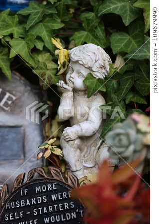 我的花園 109679990