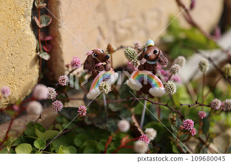 My garden 109680045