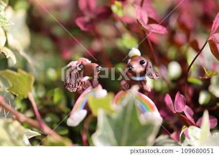 我的花園 109680051