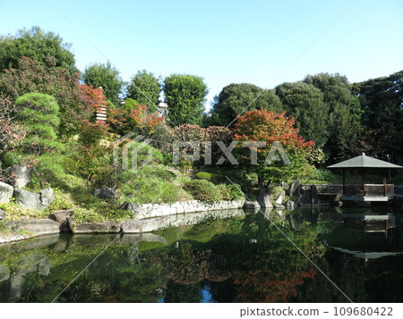 Autumn Mejiro Garden with beautiful autumn leaves Autumn Mejiro Garden with beautiful autumn leaves 109680422