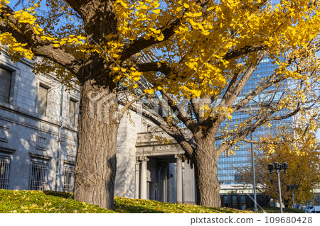 Osaka in autumn: Bank of Japan Osaka branch and ginkgo trees Osaka in autumn: Bank of Japan Osaka branch and ginkgo trees 109680428