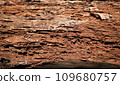 Damaged wood is eaten by termites 109680757