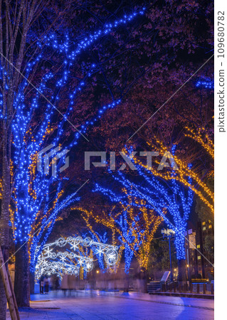 Winter Osaka Nakanoshima Illumination Street 109680782