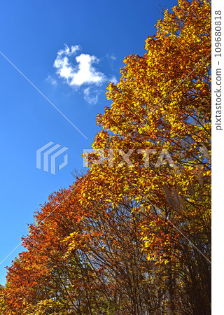 八嶽山、水垣山、紅葉風景 109680818