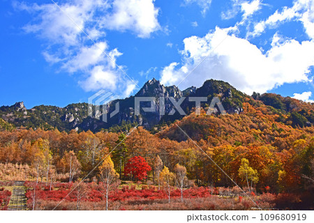 Yatsugatake Mizugakiyama Nature Park Autumn foliage scenery Yatsugatake Mizugakiyama Nature Park Autumn foliage scenery 109680919