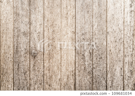 Wood board with fungus background 109681034