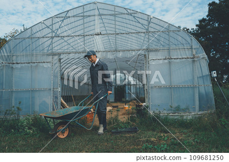greenhouse, gents, male 109681250