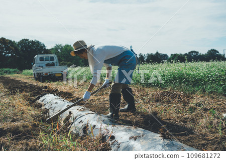 harvest, gents, male 109681272