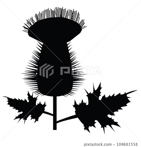 Thistle icon. Cirsium thistle sign. Flower milk symbol. Scotland plant logo. flat style. Thistle icon. Cirsium thistle sign. Flower milk symbol. Scotland plant logo. flat style. 109681558