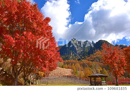 Yatsugatake Mizugakiyama Nature Park Autumn foliage scenery 109681835