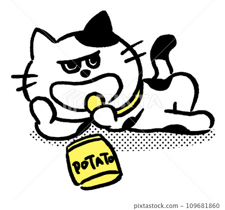 A spotted cat with black and white eyes and a grin A spotted cat with black and white eyes and a grin 109681860