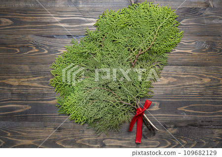 Green fir tree spruce branch 109682129