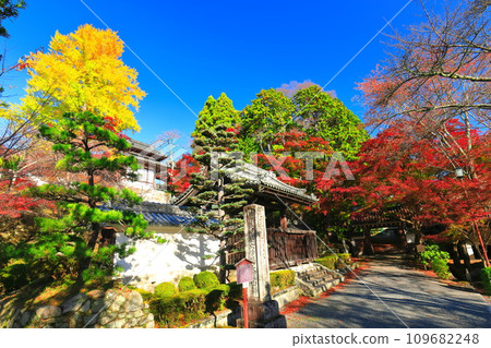 [滋賀縣]晴天西教寺的紅葉（Chokushumon） 109682248