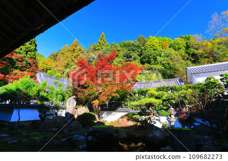 [Shiga Prefecture] Autumn leaves at Saikyoji Temple on a clear day (Shoin) 109682273