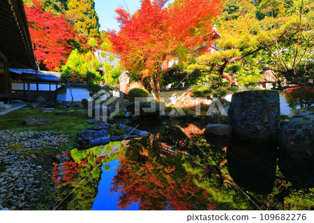 [Shiga Prefecture] Upside down autumn leaves in the garden of Saikyoji Temple on a clear day 109682276