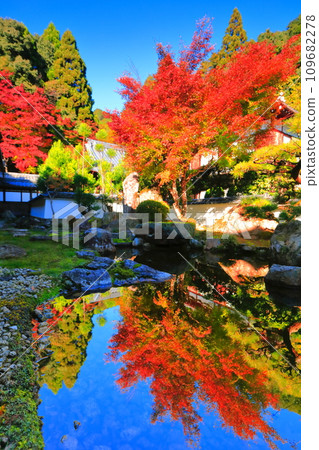 [Shiga Prefecture] Upside down autumn leaves in the garden of Saikyoji Temple on a clear day 109682278