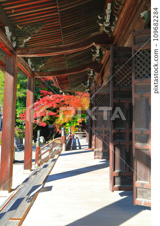 [滋賀縣]晴天時的西寺本堂及秋葉 109682284