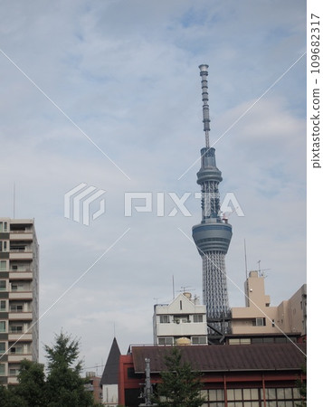 Tokyo Sky Tree 109682317