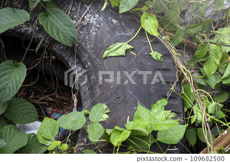 Abandoned car wheel tire Abandoned car wheel tire 109682500