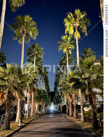 晚上的逗子碼頭 晚上的逗子碼頭 109682641