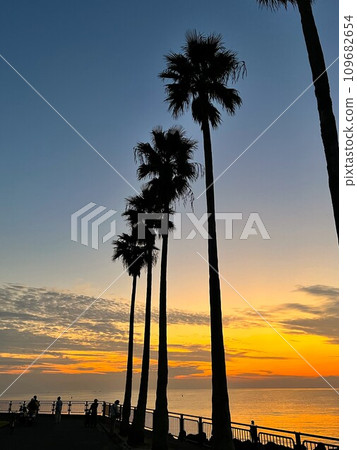 日落和棕櫚樹 日落和棕櫚樹 109682654