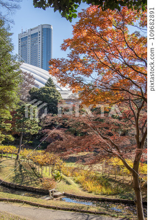 小石川後樂園，文京區，東京，秋天，秋葉，東京巨蛋 109682891