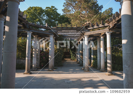 View of old structure at The Hill Garden and Pergola. Trees growing by columns with blue sky in background. Scenic view of park in Hampstead Heath during sunny day. 109682959