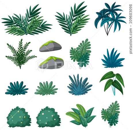 Nature's Elements: Set of Plants, Leaves, Moss, and Stone 109683098